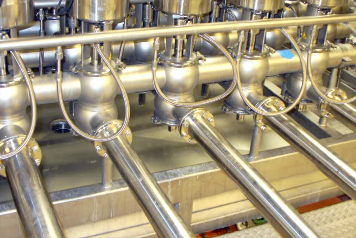 Stainless pipe header with welded branch lines